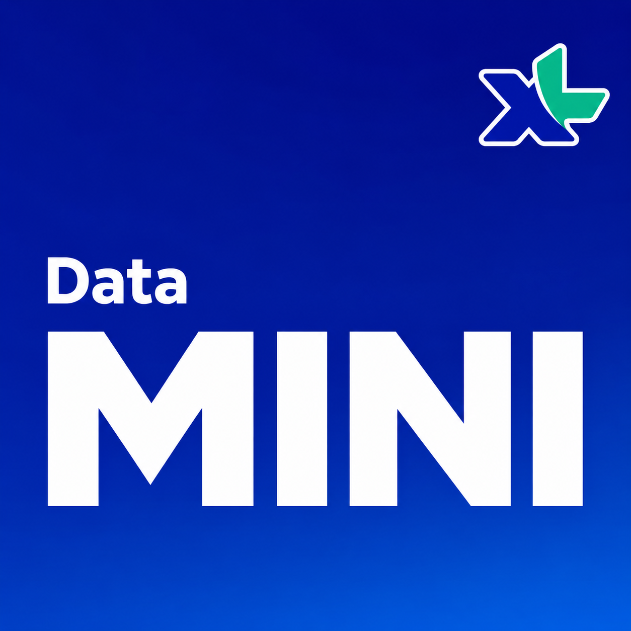 XL - DATA MINI